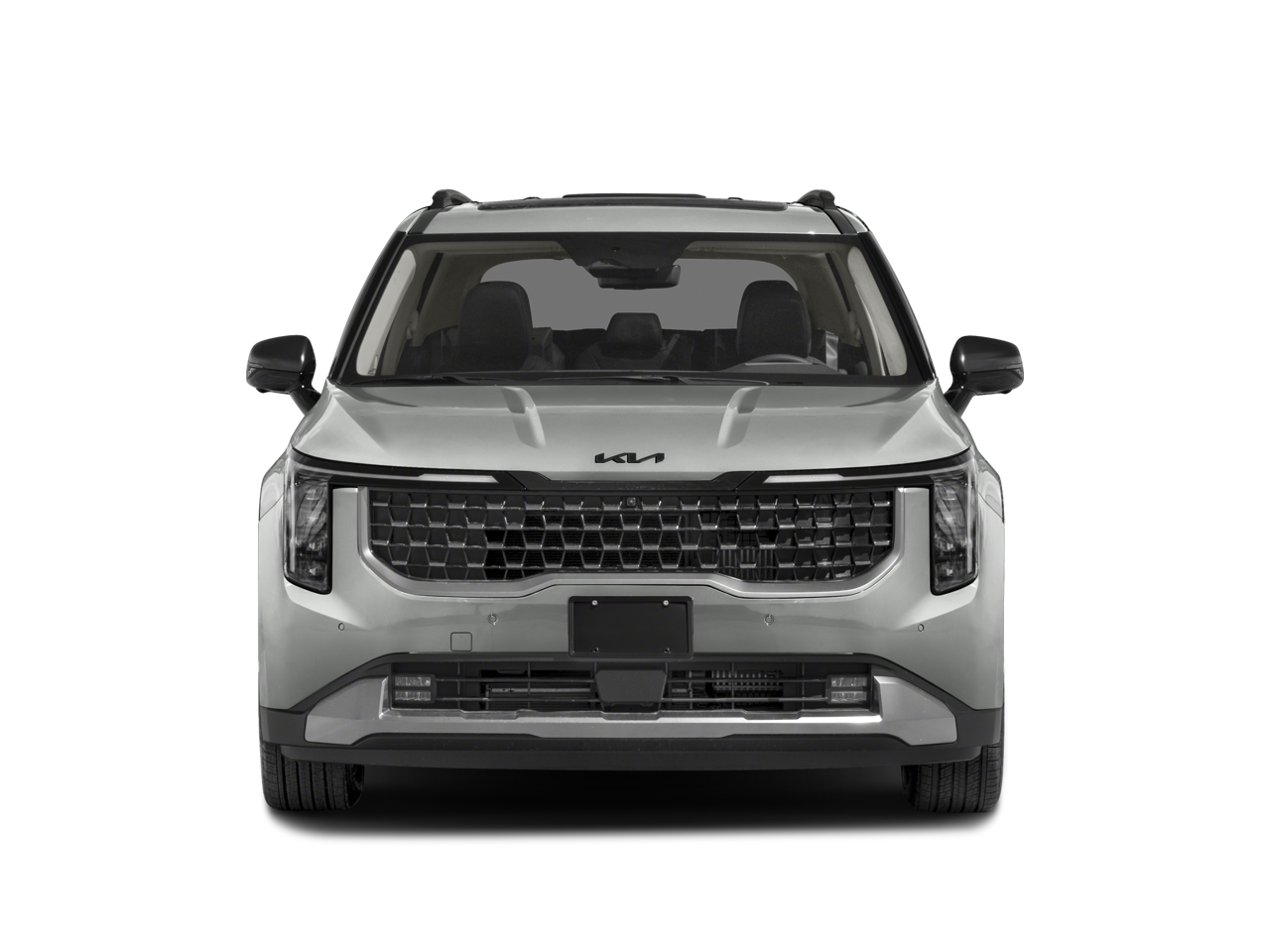 2026 Kia Carnival SX Prestige photo 3